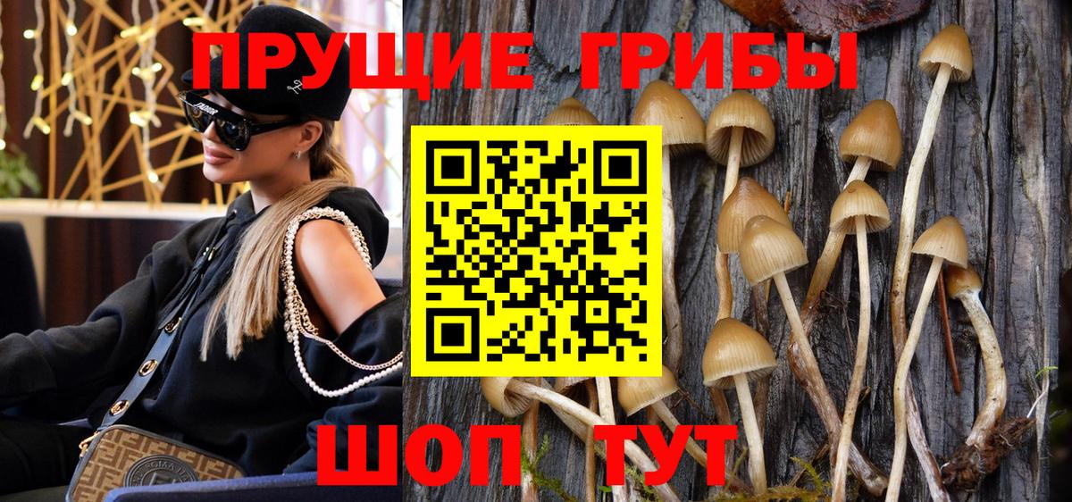 Фролово  Галлюциногенные грибы Psilocybine cubensis  Вход с VPN 