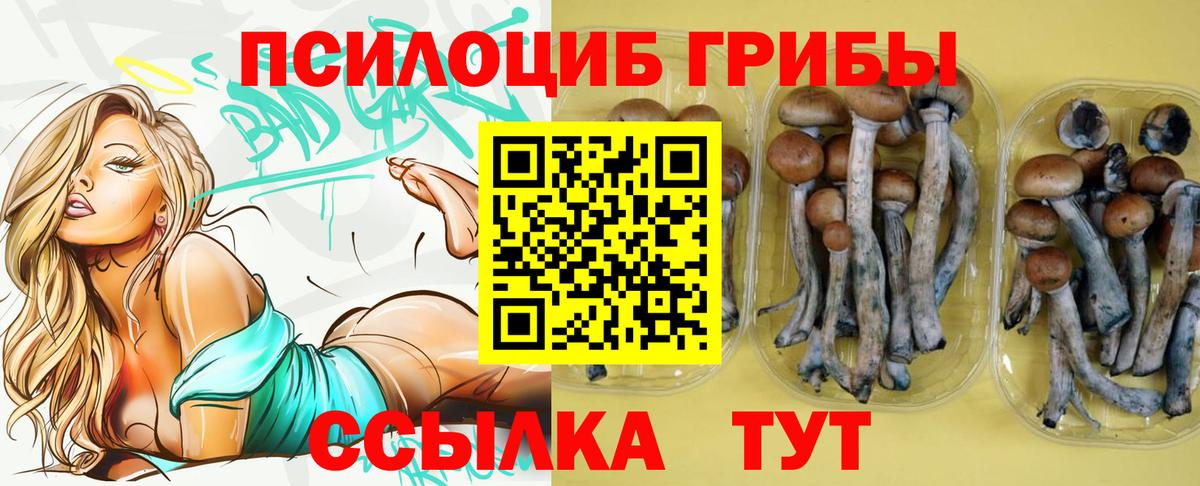 Галлюциногенные грибы прущие грибы Фролово